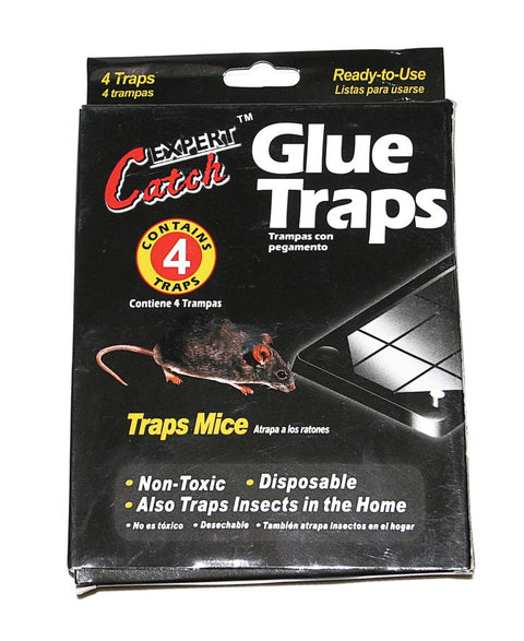 Black Mouse Glue Trap pack of 4: Effective and Discreet Rodent Control Solution (96) CD167 Origin manufacturing
